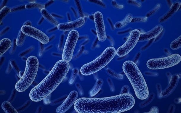 lợi khuẩn LiveSpo Colon  ảnh 2 loi khuan LiveSpo Colon anh 2