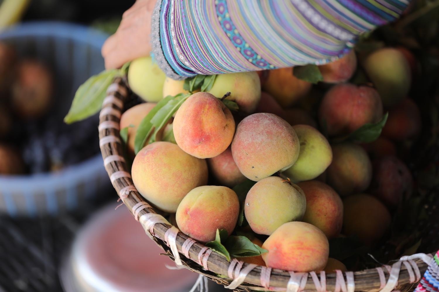 Sun World Fansipan Legend anh 7