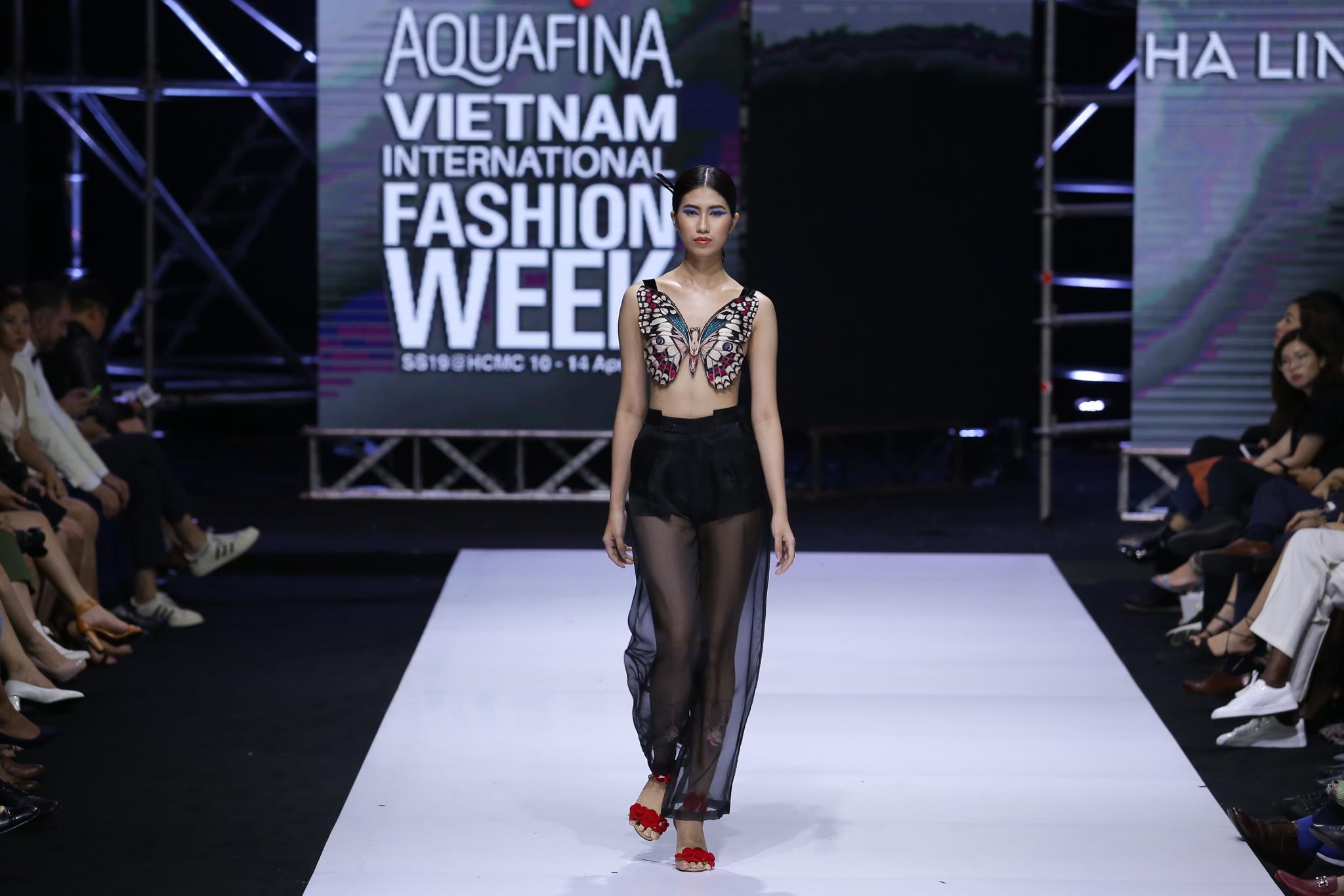 Aquafina anh 16