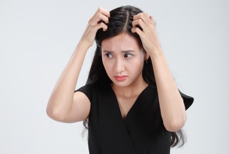 3 buoc hieu qua giup tri gau 'dai dang' can duoc nam vung hinh anh
