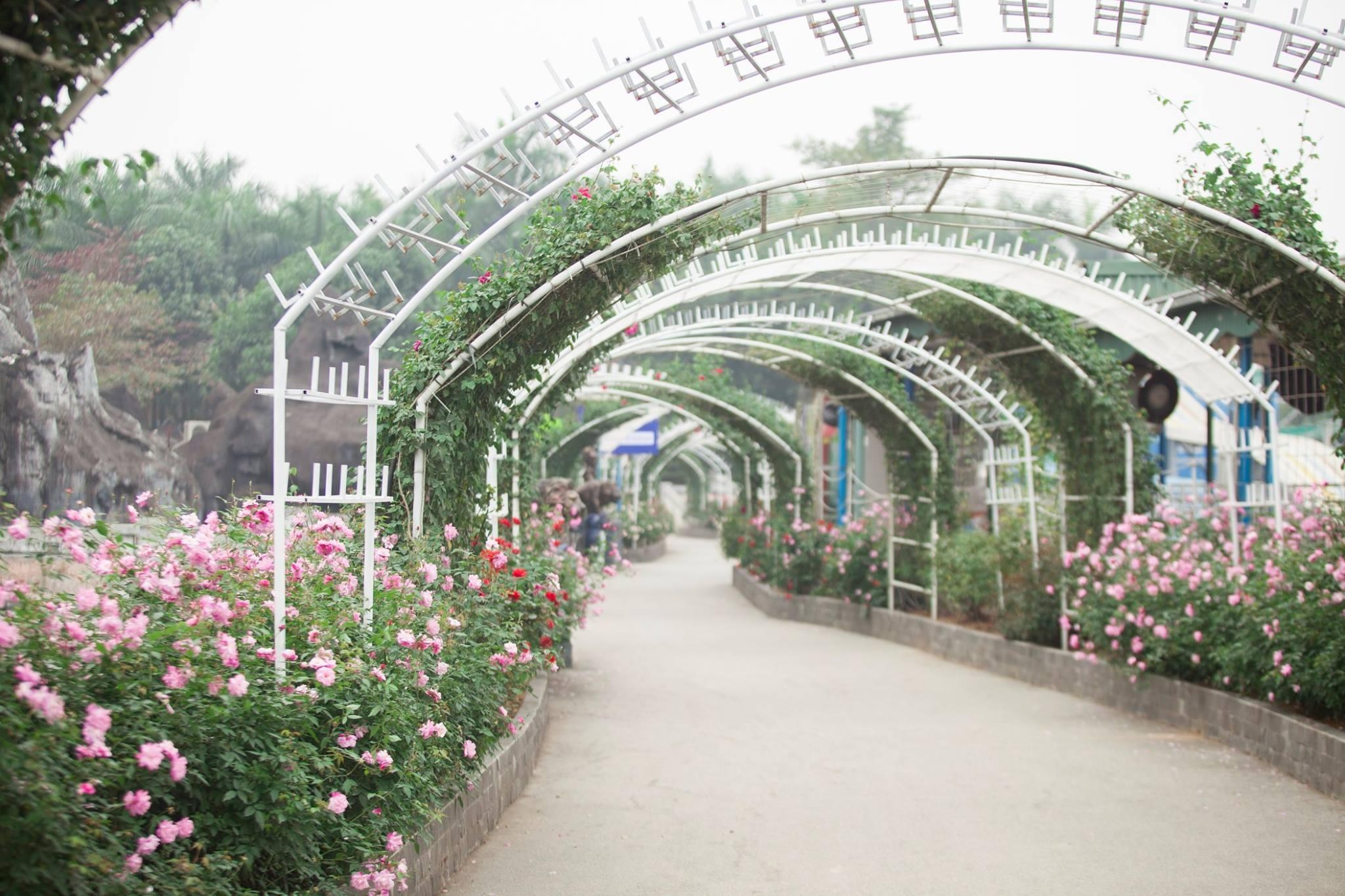 Thien duong Bao Son anh 2