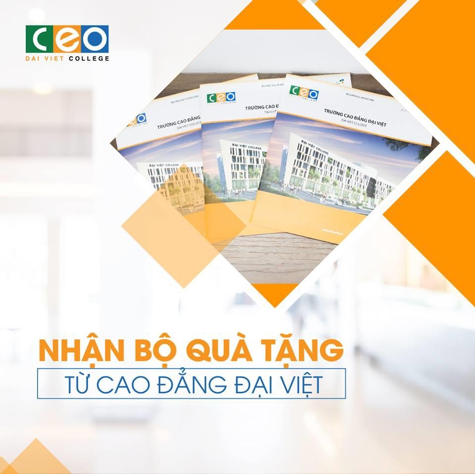 Cao dang Dai Viet anh 8