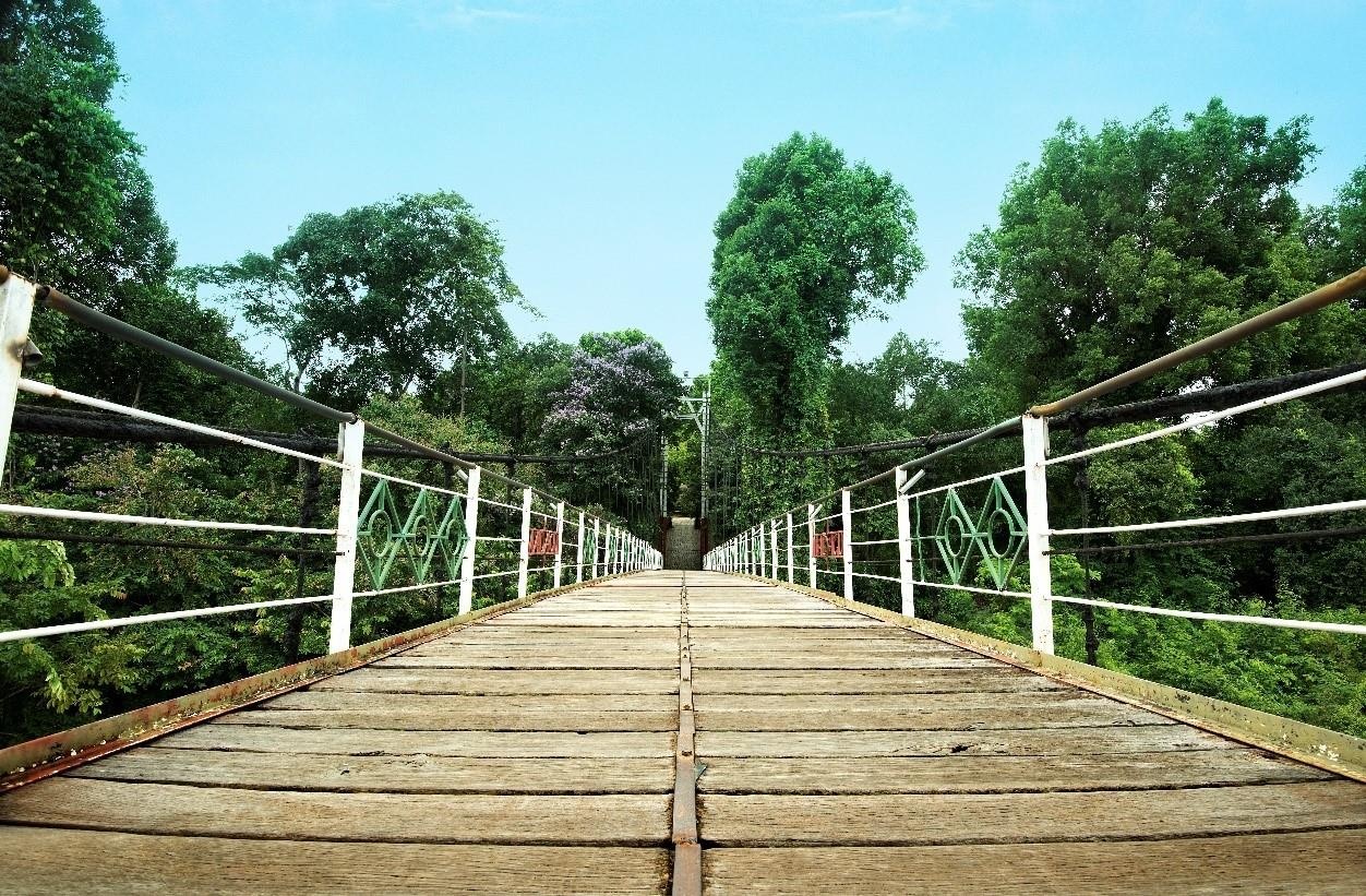 Thành phố rừng Madagui ảnh 1 Thanh pho rung Madagui anh 1