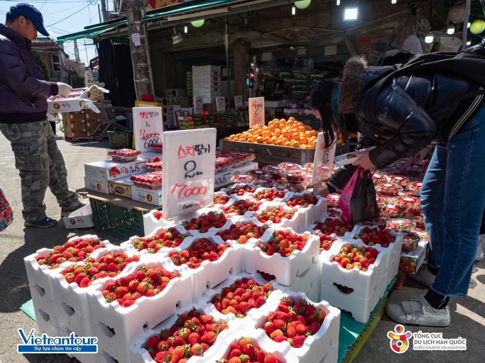 Tour Han Quoc mua he cua Vietrantour anh 9