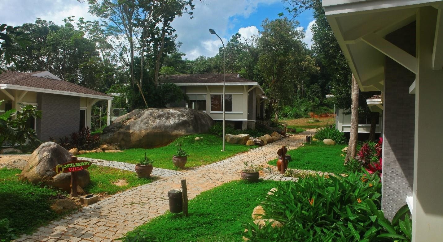 Thành phố rừng Madagui ảnh 2 Thanh pho rung Madagui anh 2