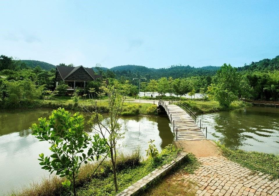 Thành phố rừng Madagui ảnh 4 Thanh pho rung Madagui anh 4