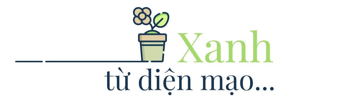 Genesis School ảnh 6 Genesis School anh 6