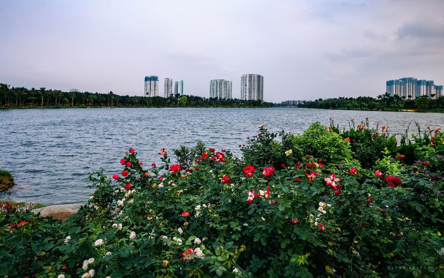 Ecopark anh 10
