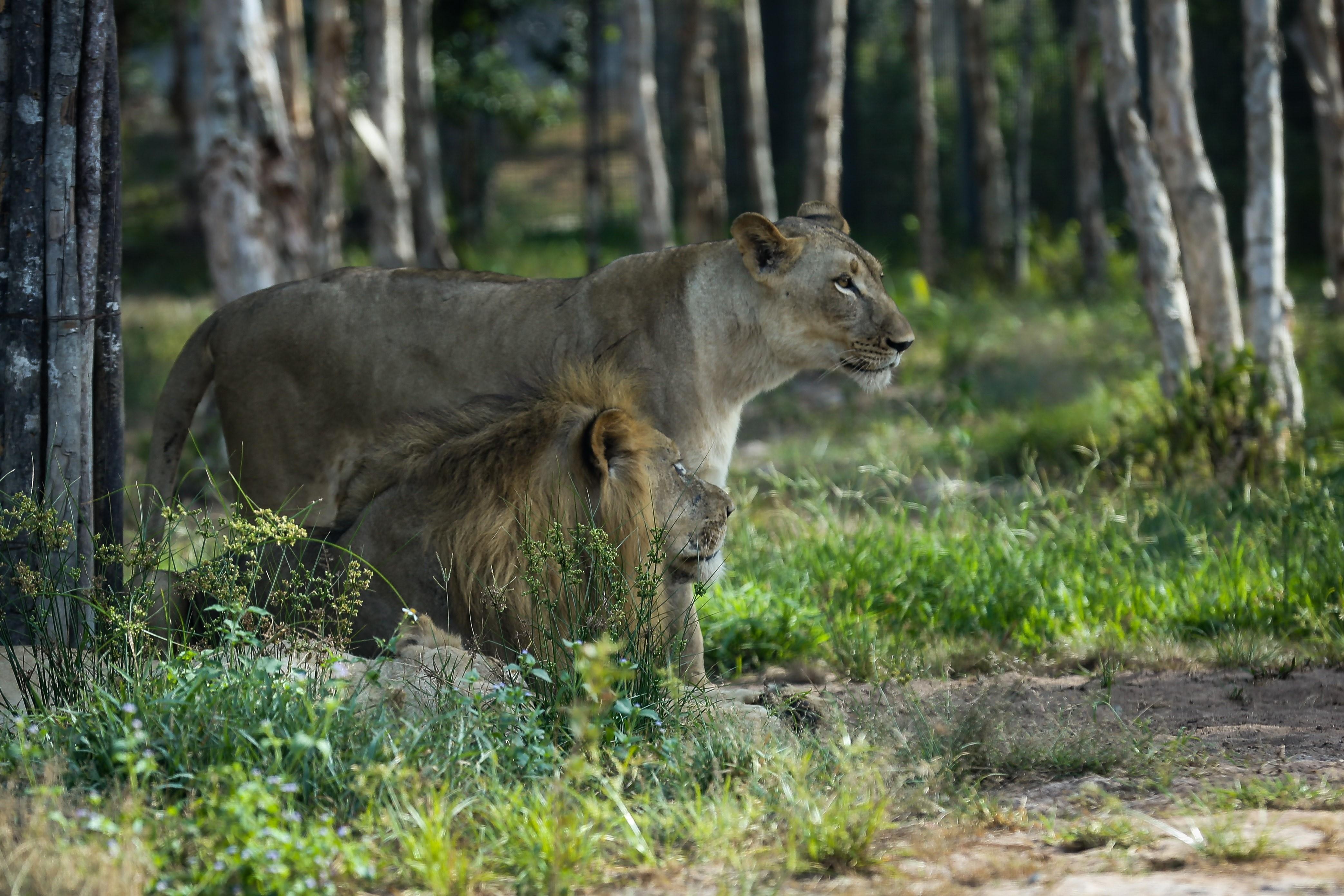 Noi cu tru hanh phuc cua nhung gia dinh thu hoang da hinh anh