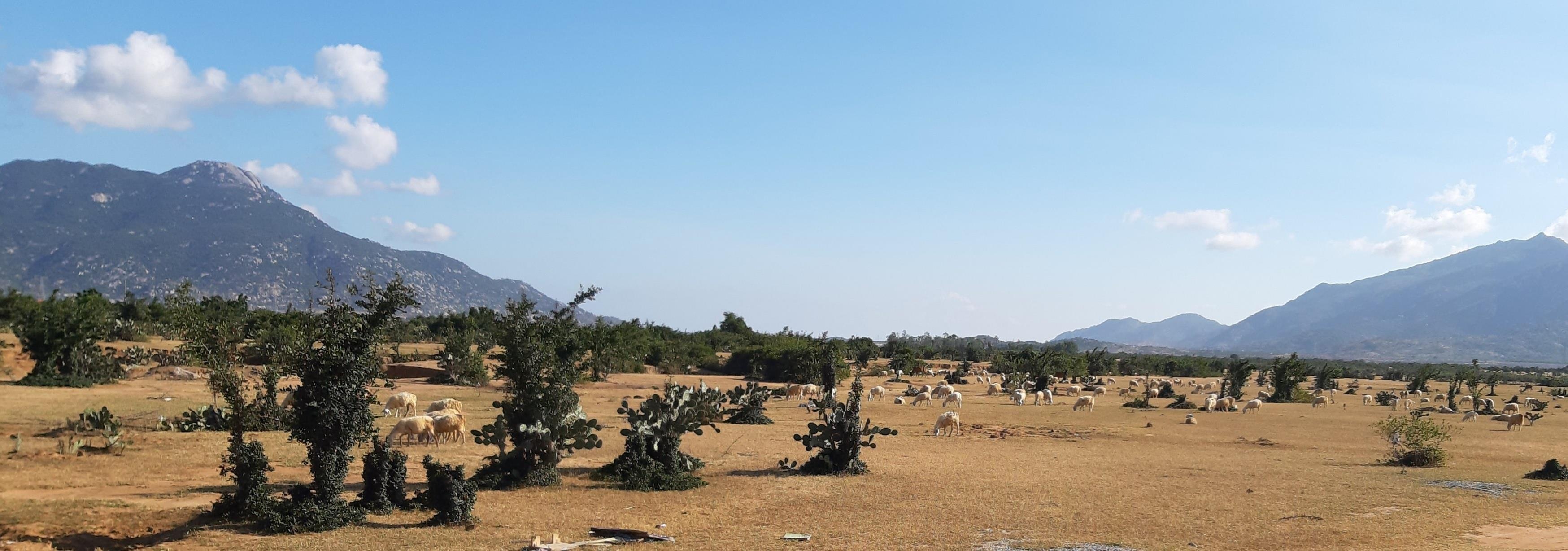 BIM ảnh 11 BIM anh 11