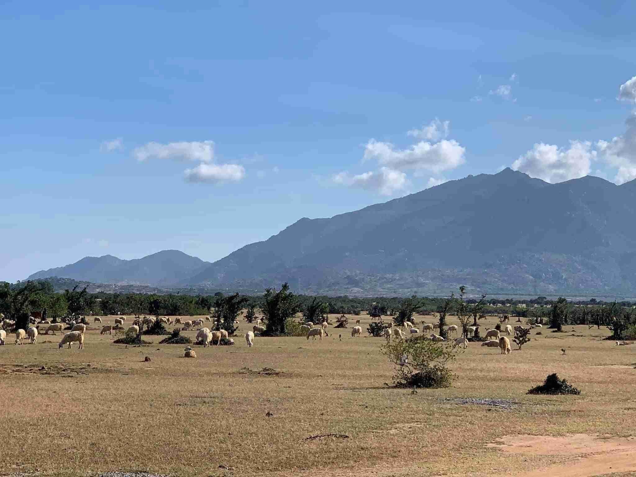 BIM ảnh 12 BIM anh 12