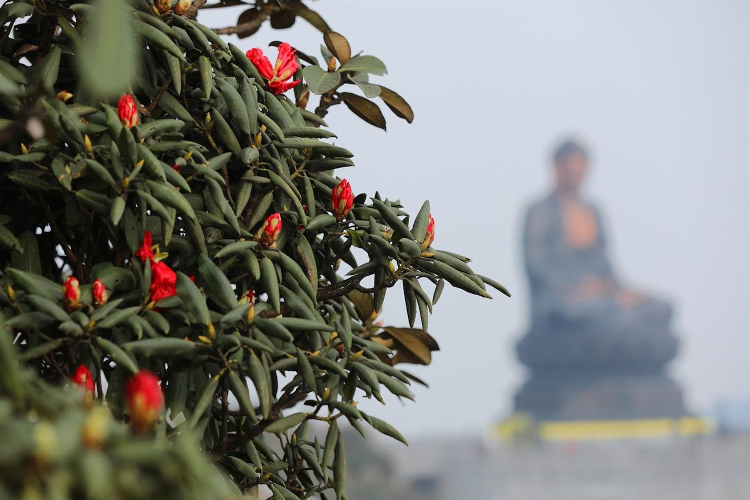 Do quyen no ro, Fansipan khoac ao moi hinh anh