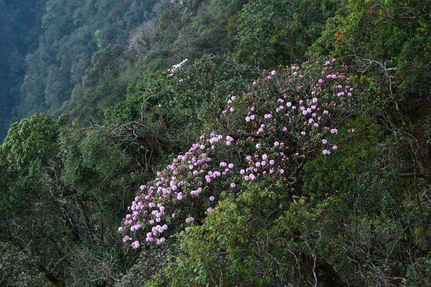 Sun group ảnh 1 Sun group anh 1