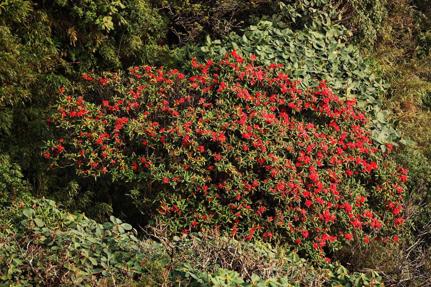 Sun group ảnh 2 Sun group anh 2