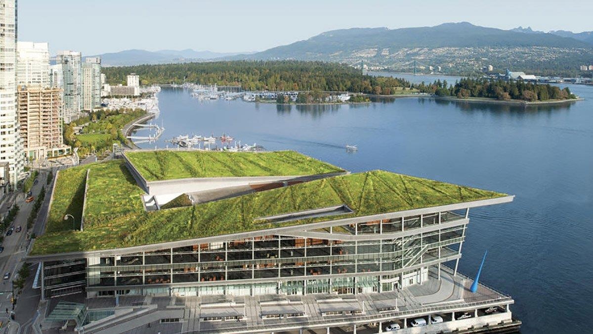 Ariyana Da Nang anh 2