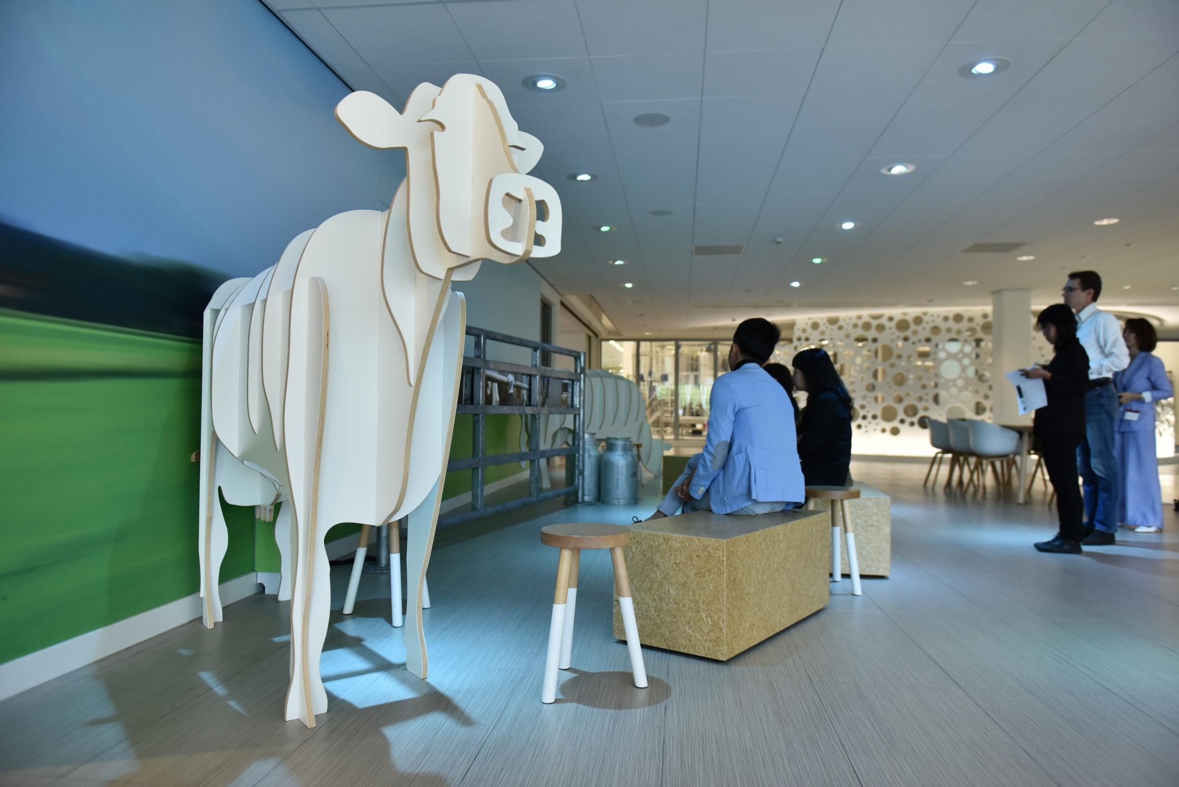 Co Gai Ha Lan anh 10