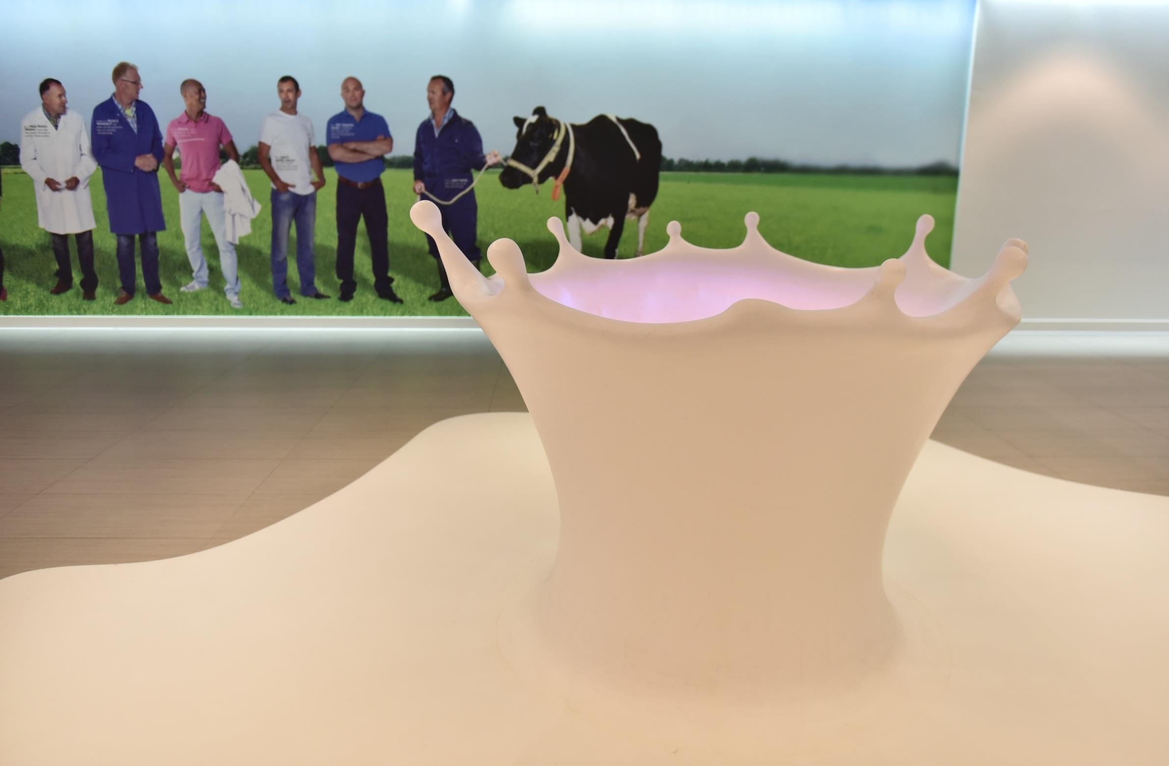 Co Gai Ha Lan anh 13