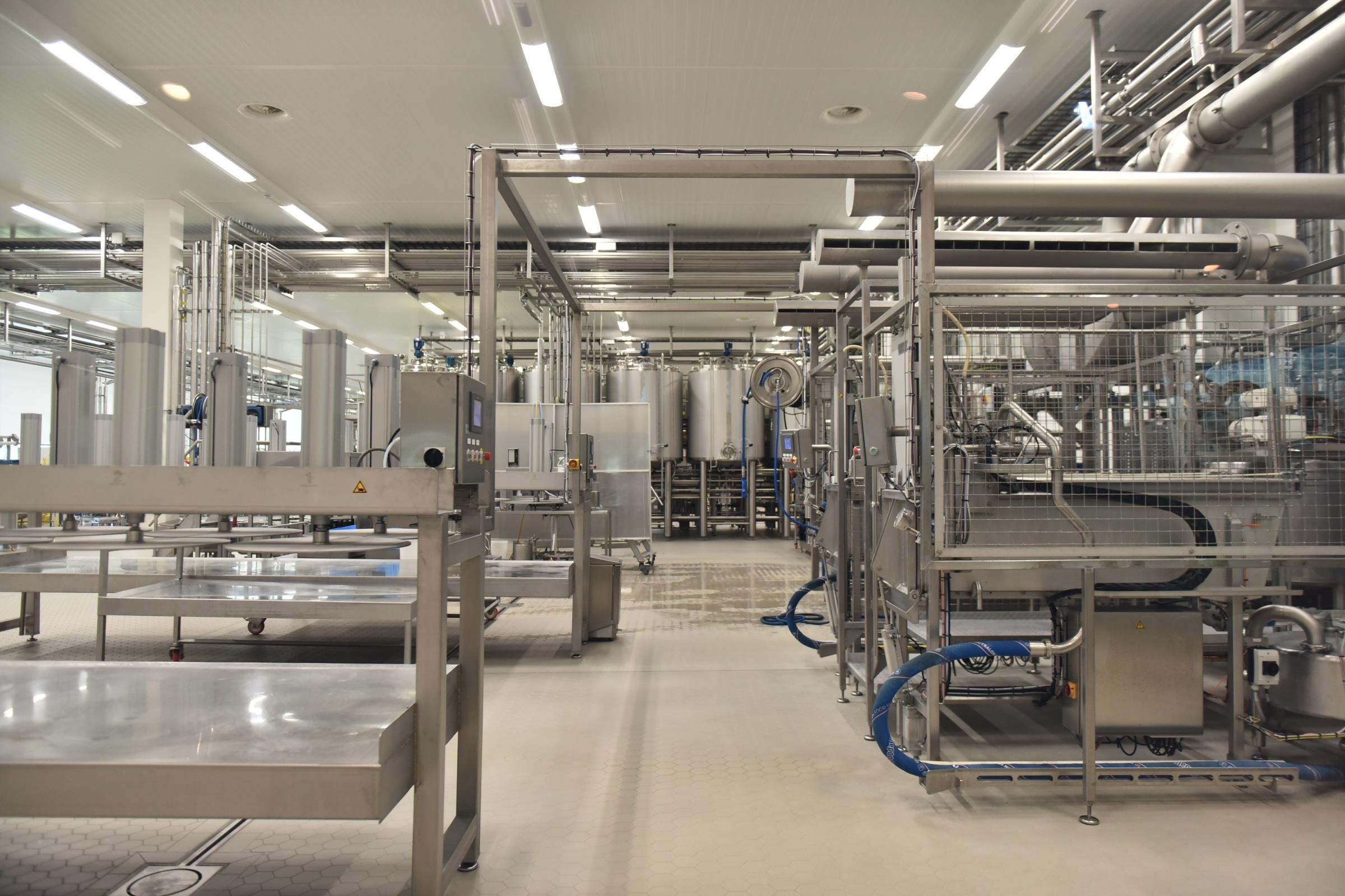 Co Gai Ha Lan anh 14