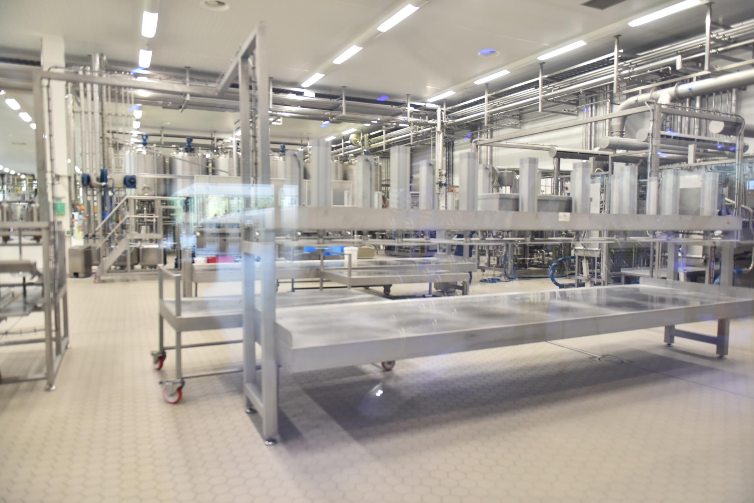 Co Gai Ha Lan anh 15