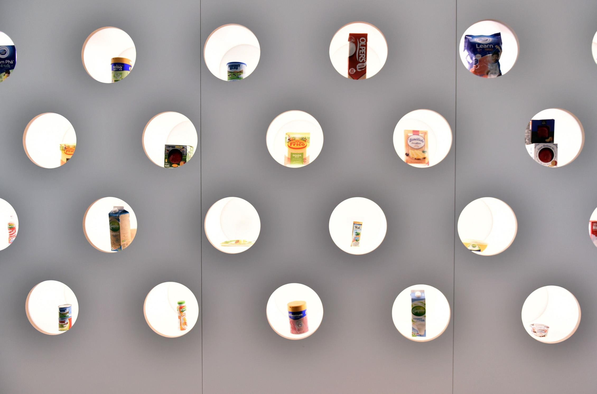 Co Gai Ha Lan anh 16