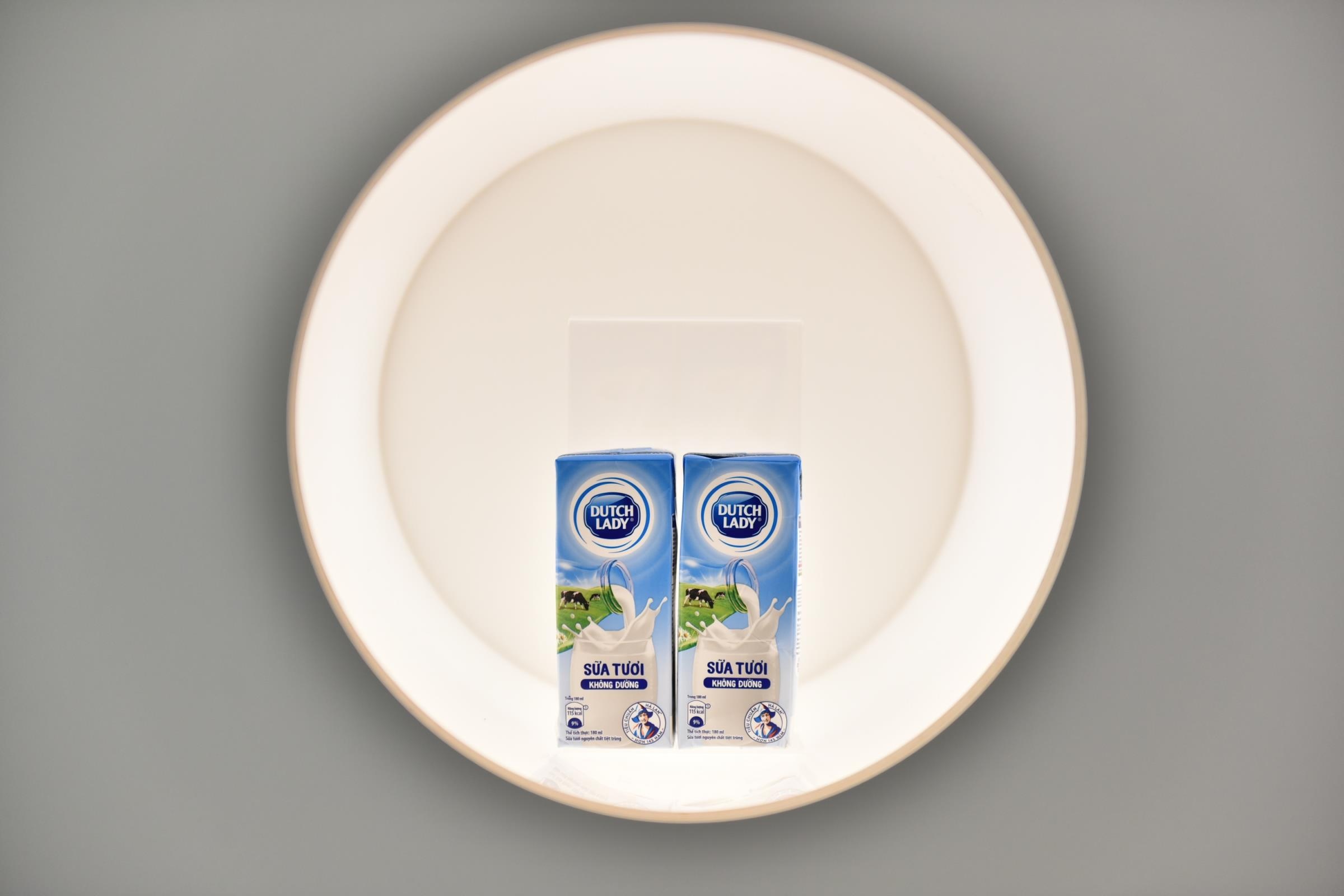 Co Gai Ha Lan anh 17