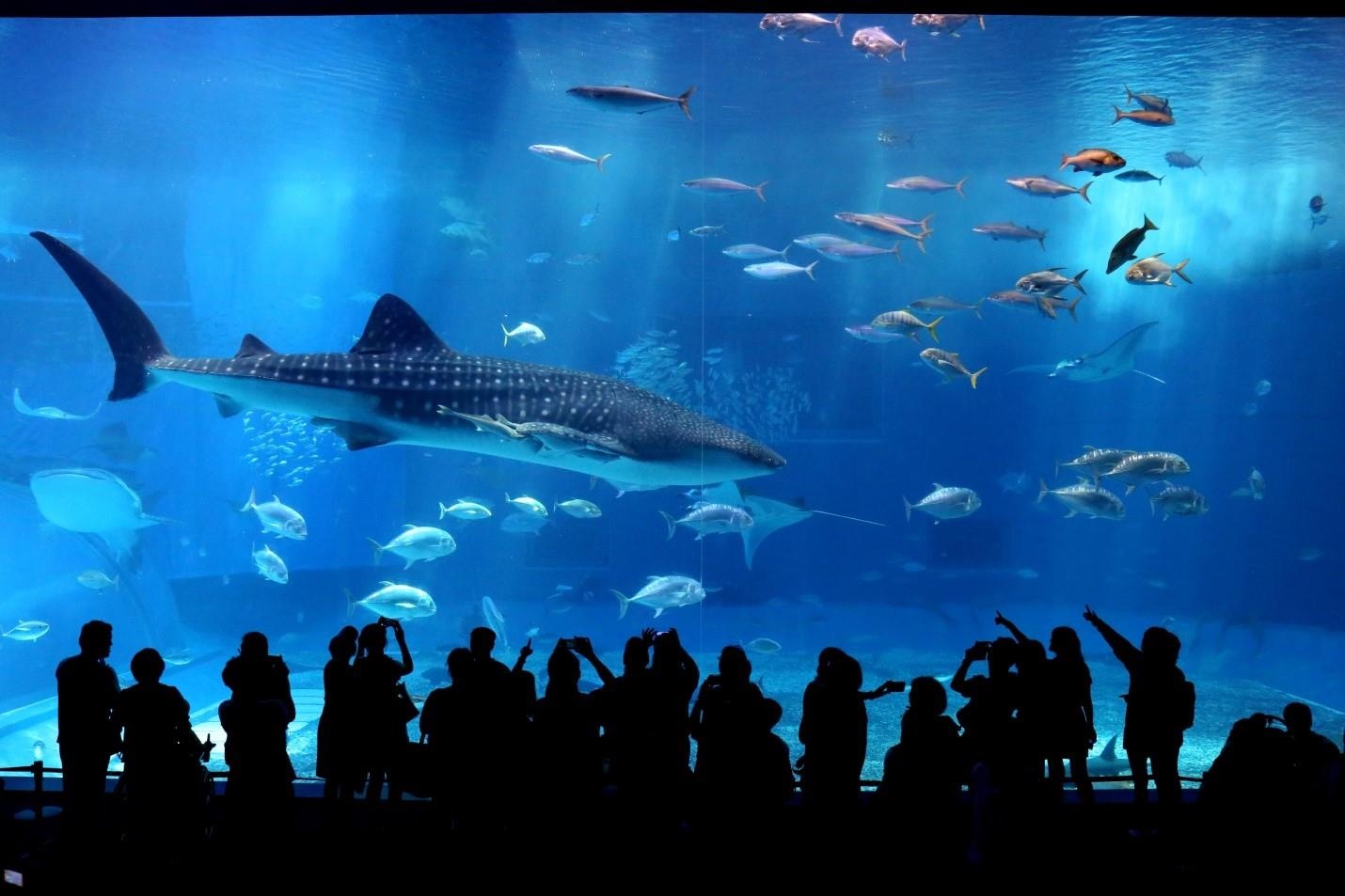 vietravel ảnh 5 vietravel anh 5