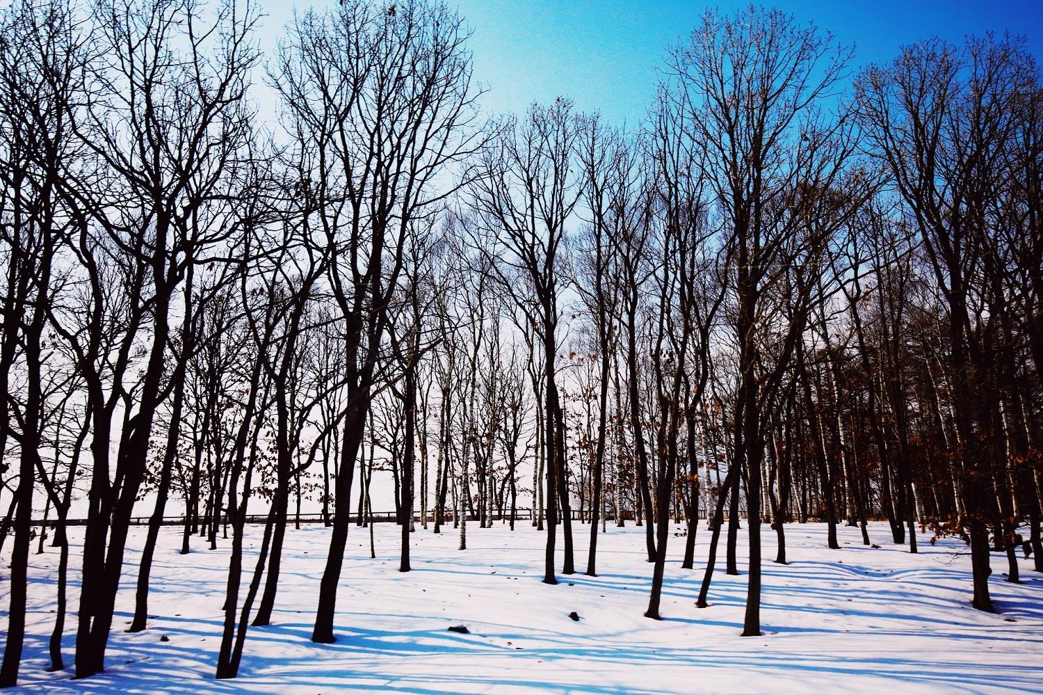 Cong ty Discover The World anh 10