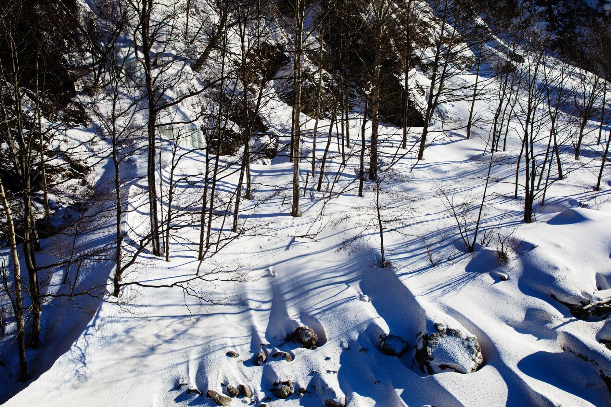 Cong ty Discover The World anh 11