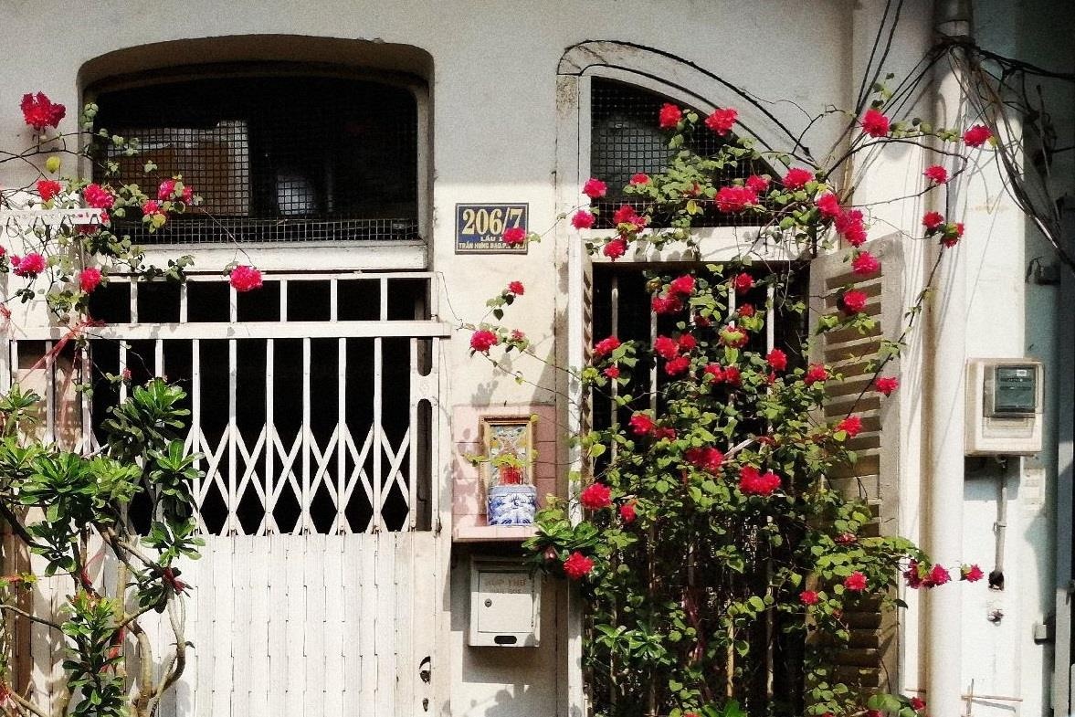 Goc nho binh yen trong long nhung toa chung cu cu tai Sai Gon hinh anh