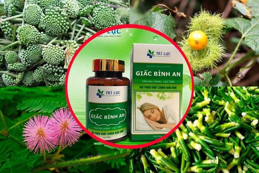 Giấc Bình An ảnh 2 Giac Binh An anh 2
