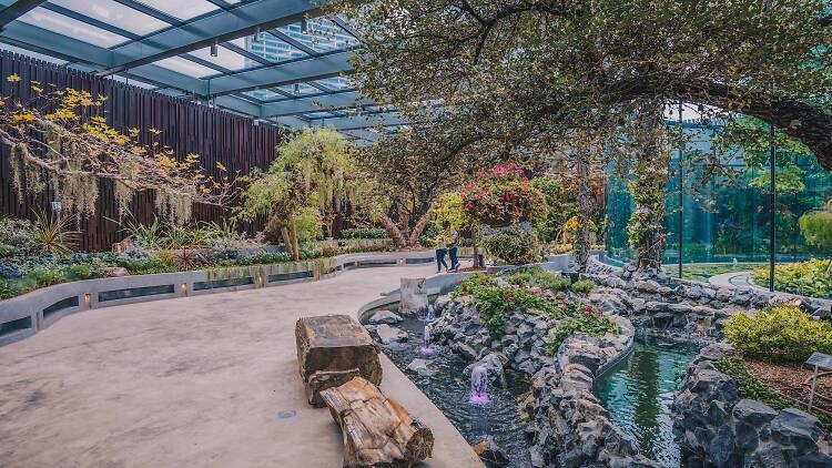 singapore ảnh 5 singapore anh 5