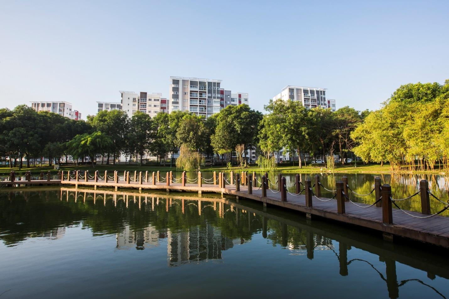 Celadon City nhan giai bac hang muc 'Quy hoach tong the' hinh anh