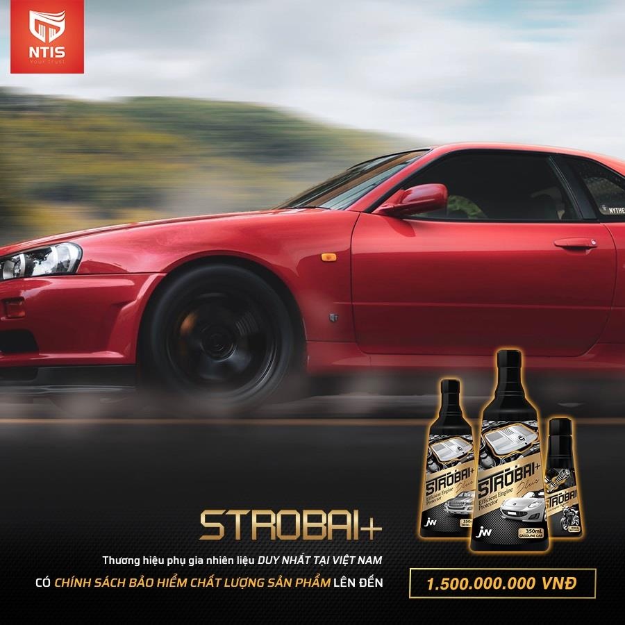 Strobai ảnh 4 Strobai anh 4