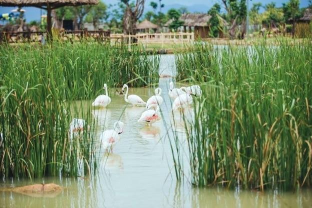 Vinpearl Nam Hoi An anh 2