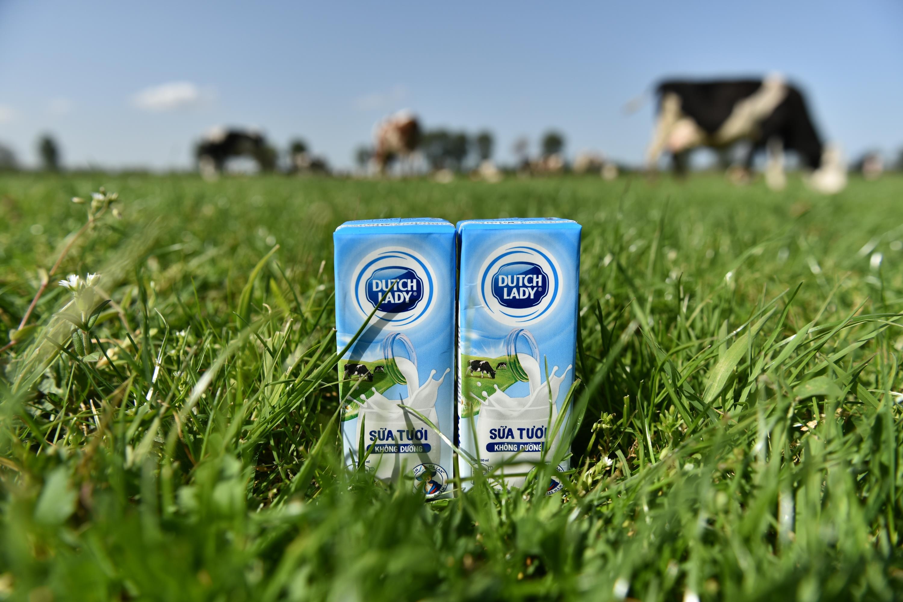 Co Gai Ha Lan anh 21