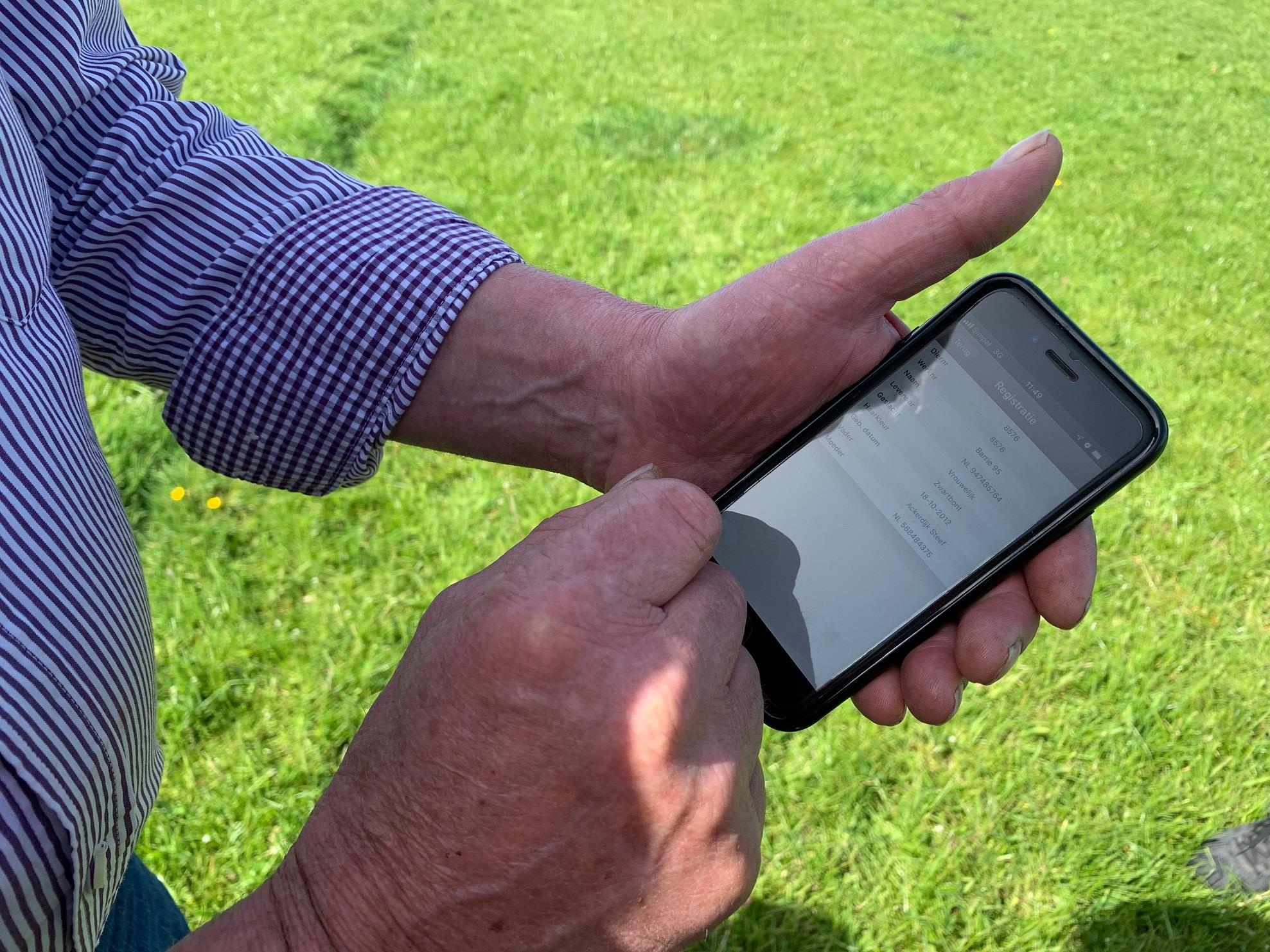 Co Gai Ha Lan anh 14