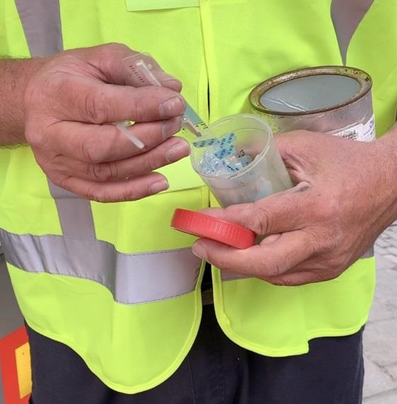 Co Gai Ha Lan anh 20