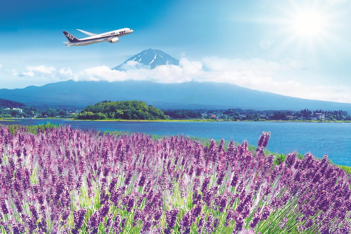 3 dia danh nhat dinh phai ghe qua khi du lich Nhat Ban hinh anh