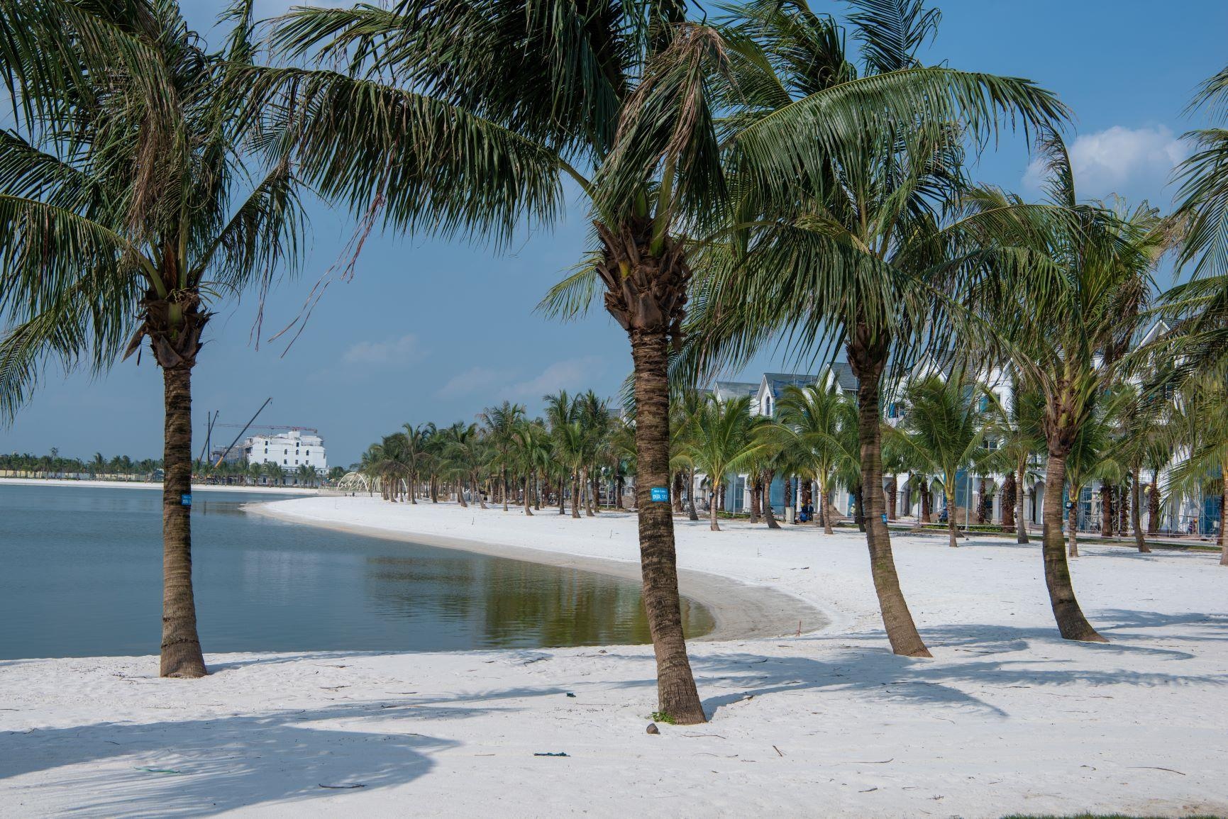 Vinhomes Ocean Park anh 4