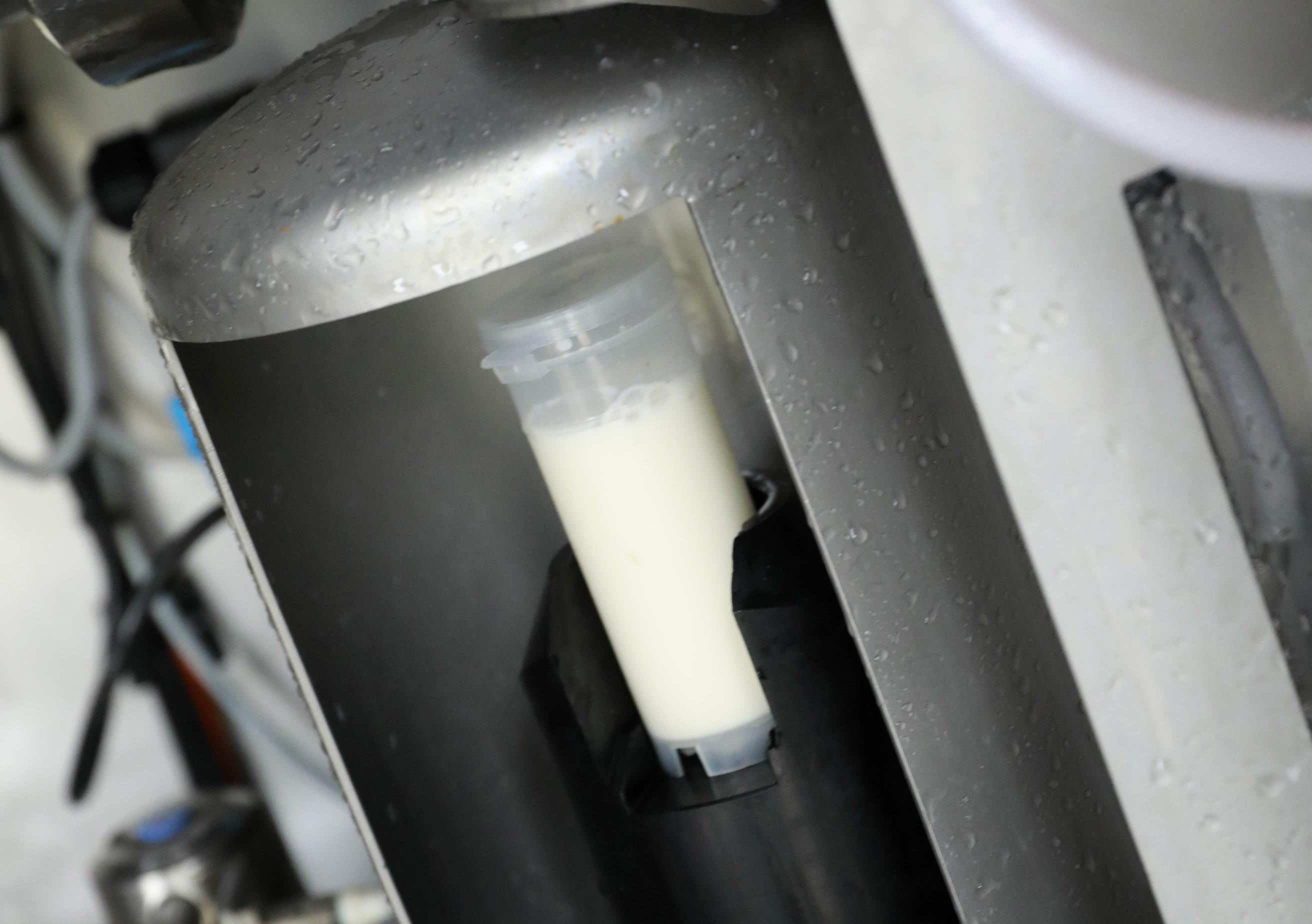 Co Gai Ha Lan anh 11