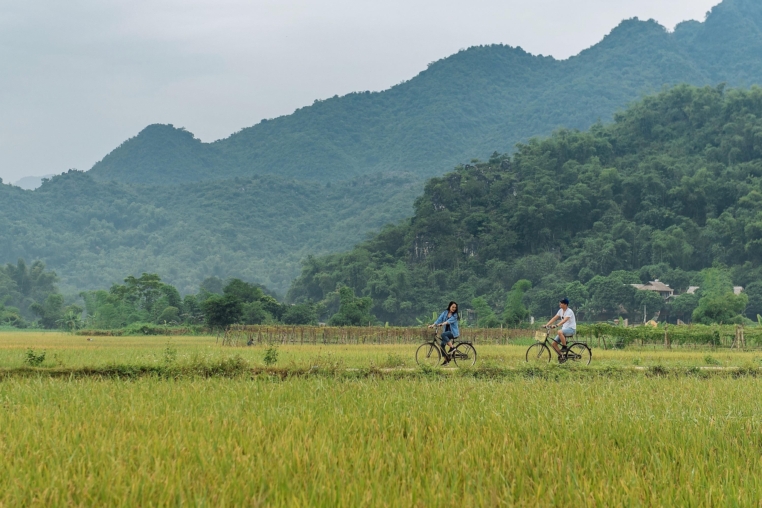 Traveloka ảnh 5 Traveloka anh 5