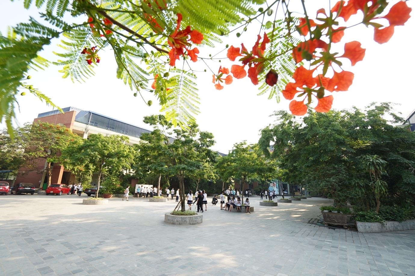 THPT Luong The Vinh anh 5