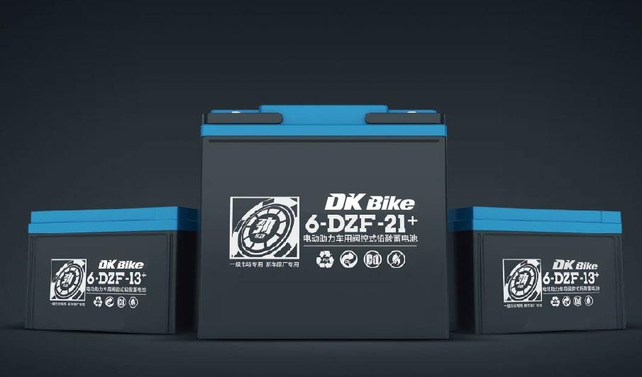 Chon ac quy nao co tuoi tho cao cho xe dien? hinh anh