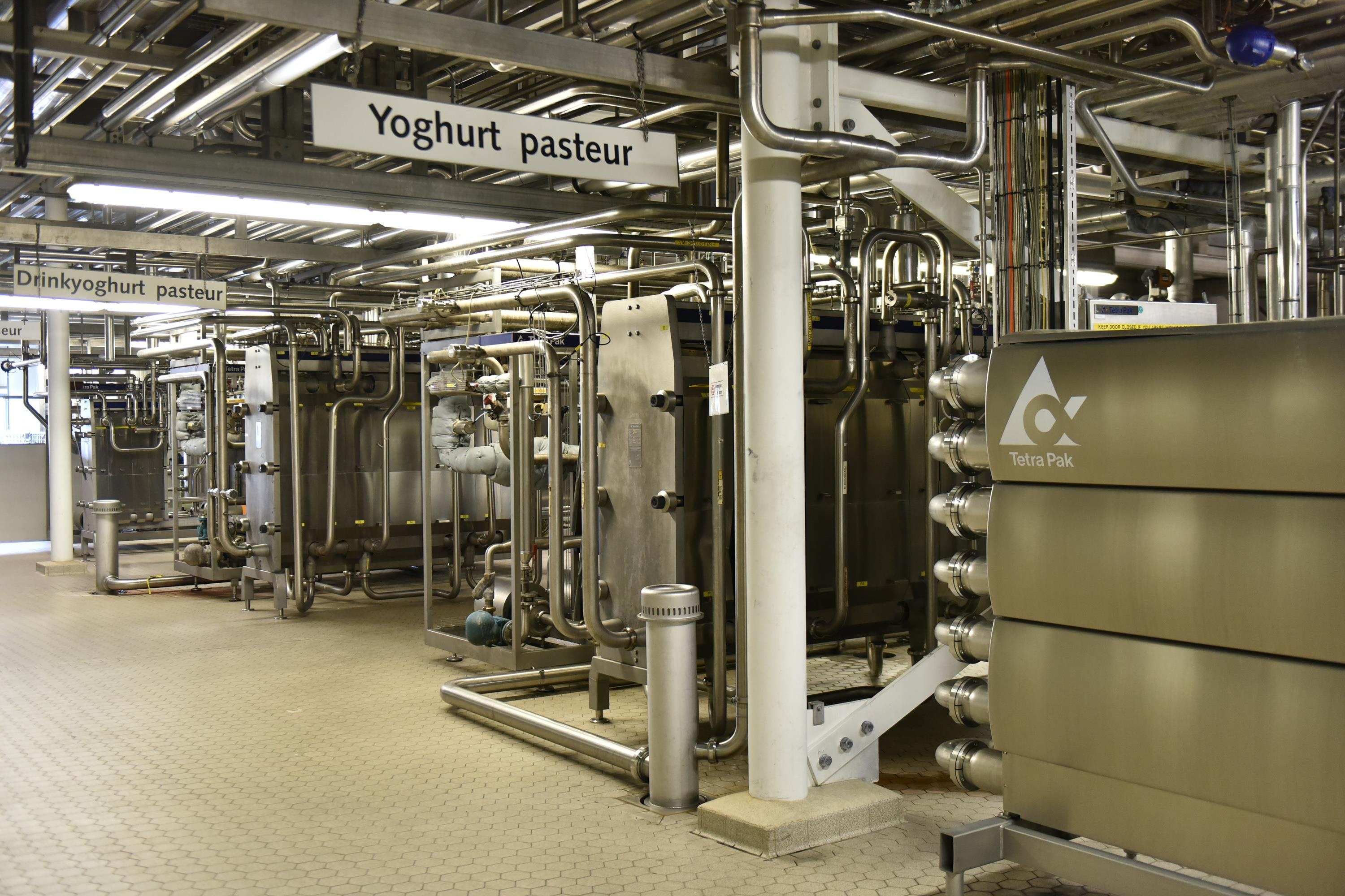 Cô Gái Hà Lan ảnh 1 Co Gai Ha Lan anh 1