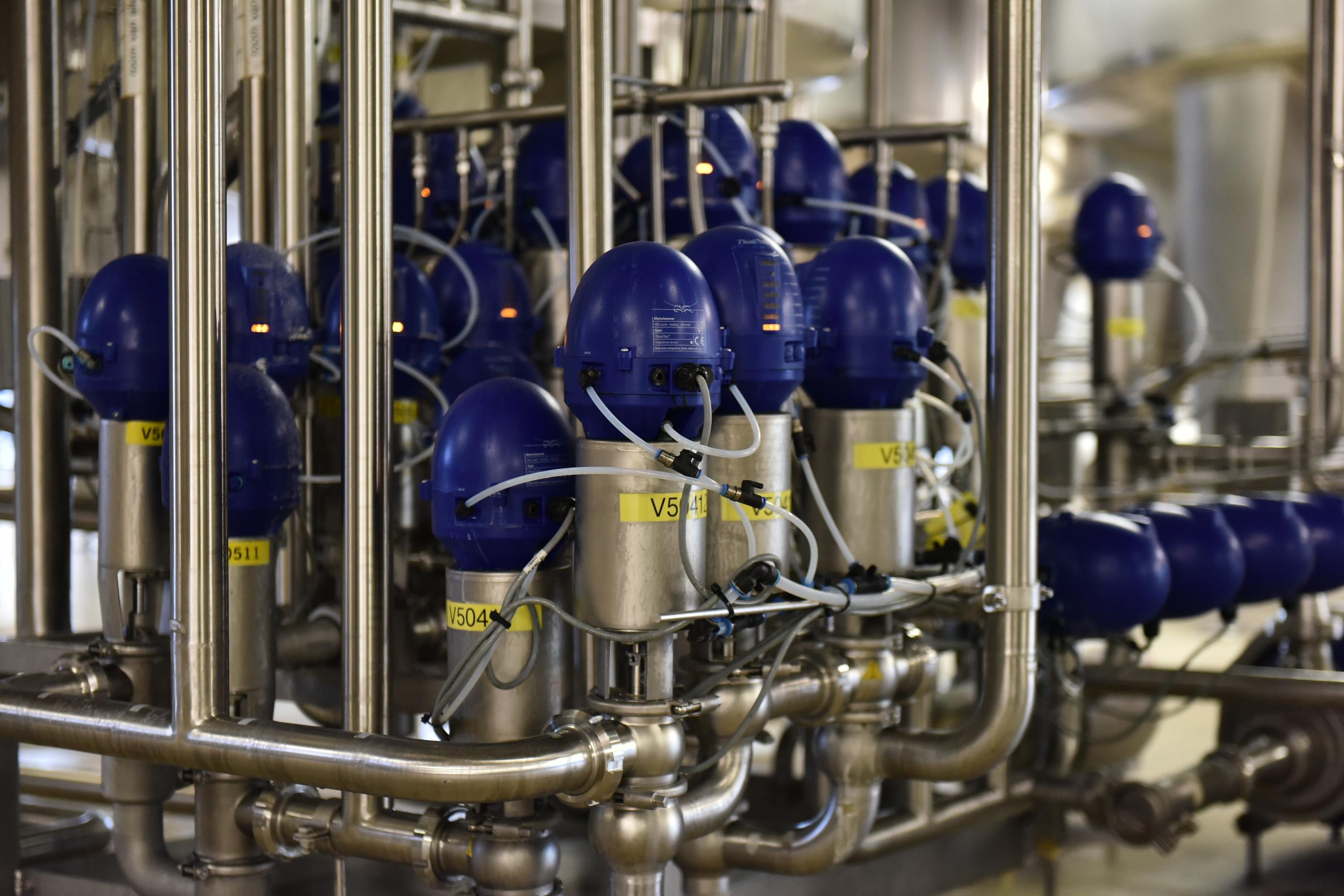 Cô Gái Hà Lan ảnh 2 Co Gai Ha Lan anh 2