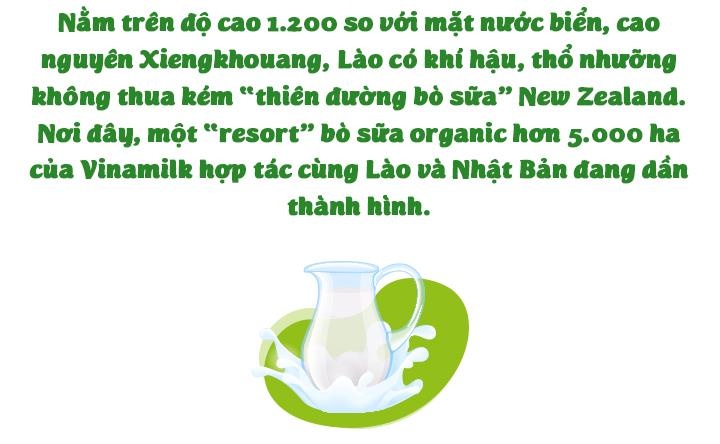 Vinamilk anh 3