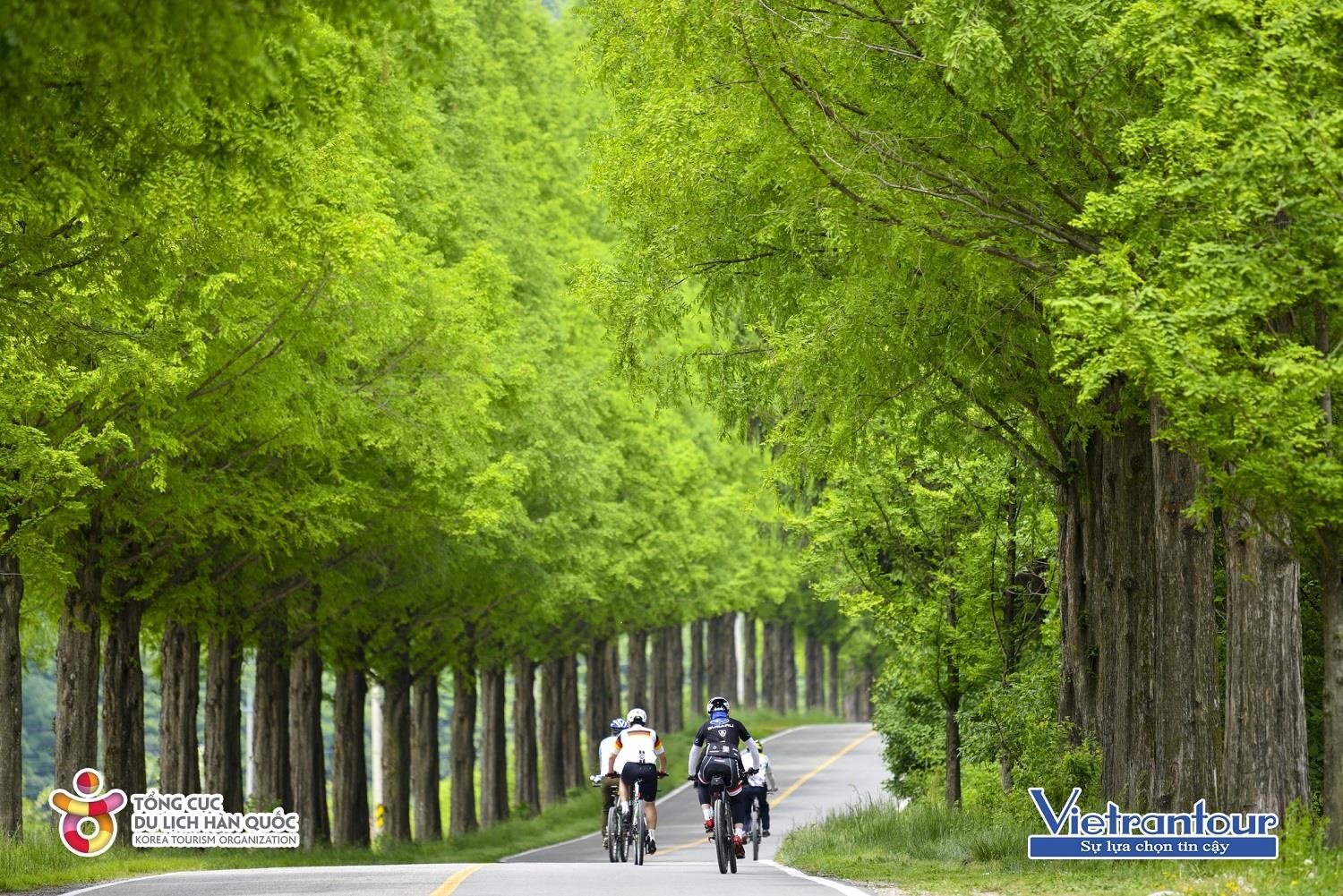 Vietrantour ảnh 3 Vietrantour anh 3