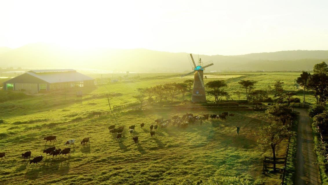 Vinamilk ảnh 4 Vinamilk anh 4