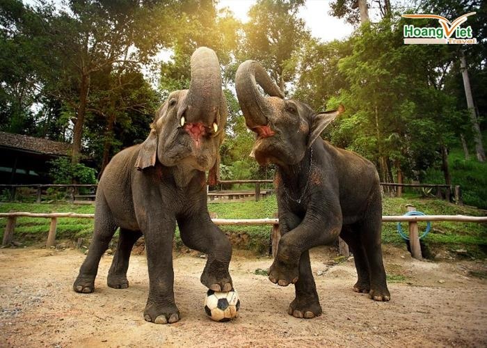 Hoang Viet Travel anh 2