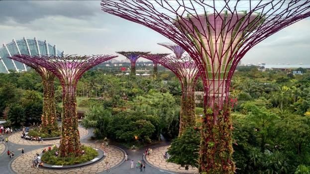 Vietrantour ảnh 1 Vietrantour anh 1